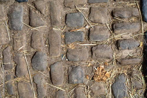 Cobblestone Pathway Texture