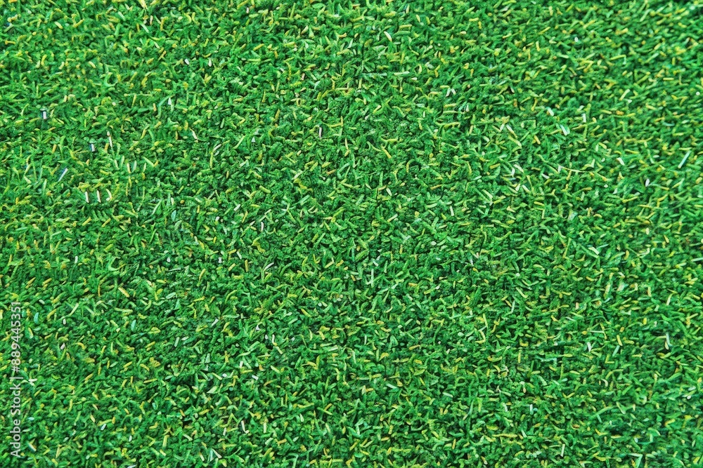 Fototapeta premium Green Grass Texture