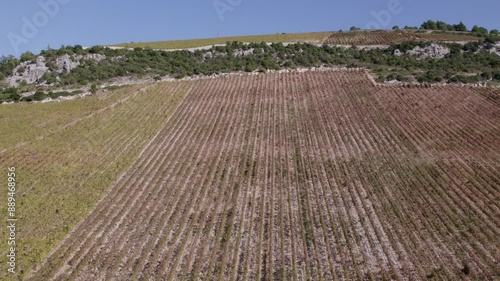 Aerial view of vineyard and countryside with cross, Slivno, Croatia. photo