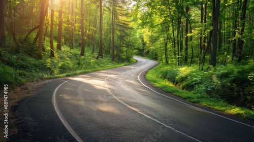 A winding road in a forest with trees on both sides. The road is surrounded by green foliage and the sunlight is shining through the trees