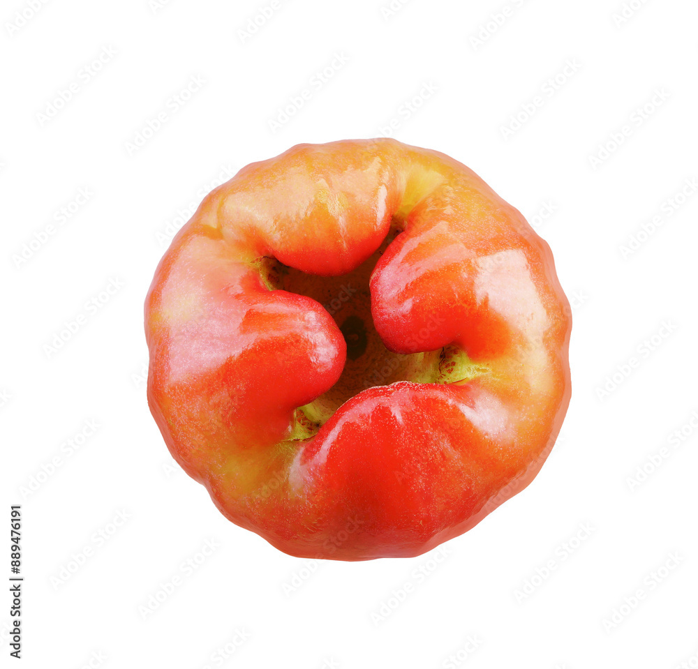 Buttom of rose apple fruit isolated on white background. Buttom of rose apple fruit isolated on white background.