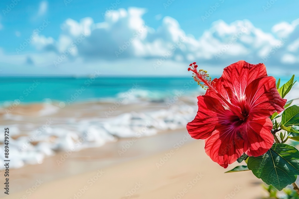 vibrant red hibiscus flower in full bloom on sandy beach turquoise ocean waves in background tropical paradise vibrant red hibiscus flower in full bloom on sandy beach turquoise ocean waves in background tropical paradise