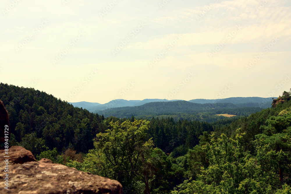 Obraz premium Aussicht in den Pfälzerwald von den Altdahner Burgen bei Dahn im deutschen Landkreis Südwestpfalz im Bundesland Rheinland-Pfalz. Aussicht vom Premium-Wanderweg Hahnfels-Tour.