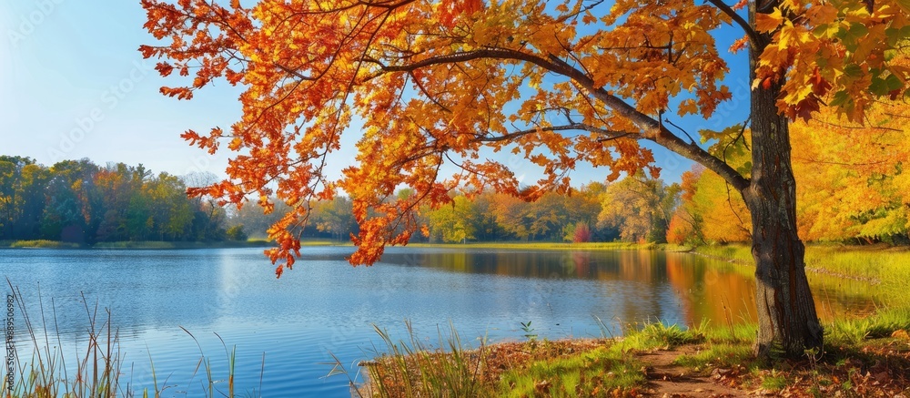 Obraz premium Vivid autumn hues adorn a maple tree by a tranquil lake, offering a stunning view for a copy space image.