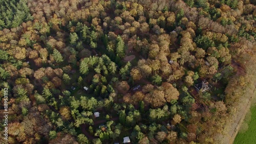 Aerial view of colorful autumn forest with pine trees and campsite, Oudemirdum, Netherlands. photo