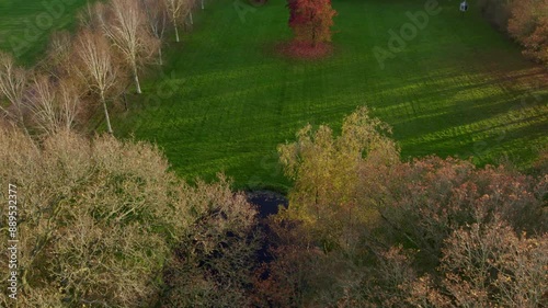 Aerial view of colorful autumn forest with pine trees and sunset, Oudemirdum, Friesland, Netherlands. photo