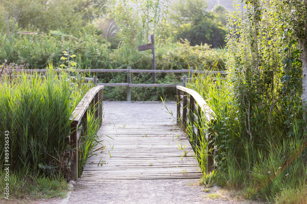 Obraz premium Puente peatonal de madera