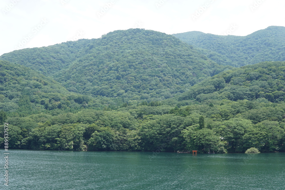 Fototapeta premium Hakone