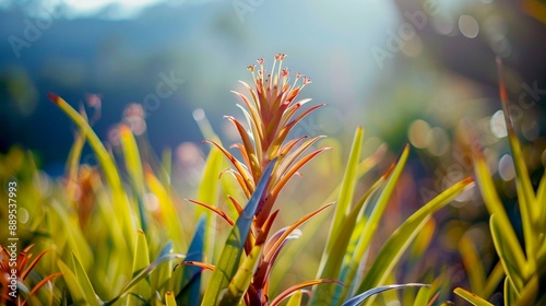 A macro shot of endangers conceptual plant photo