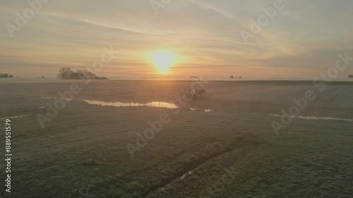 Aerial view of foggy sunrise over meadow with cow and ditch, Exmorra, Friesland, Netherlands. photo