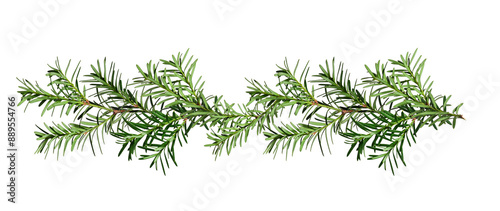 Fotografía Christmas garland made of conifer branches
