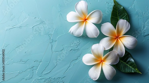 Flower on background, a depiction of amazing beauty. Blossoming and colorful, it's a gorgeous floral display.