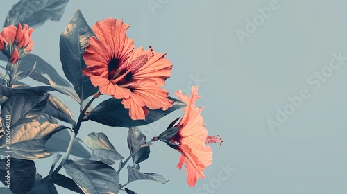 A wonderful flower on background, a sight of pure delight. Vibrant and bright, it's an adorable natural sight.