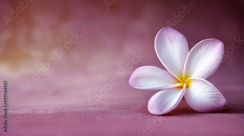 On background, a flower in bloom, spectacularly beautiful. A colorful greeting, it's an awesome natural decoration.