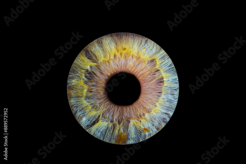 iris beauté yeux photo des yeux photos d'iris  photo