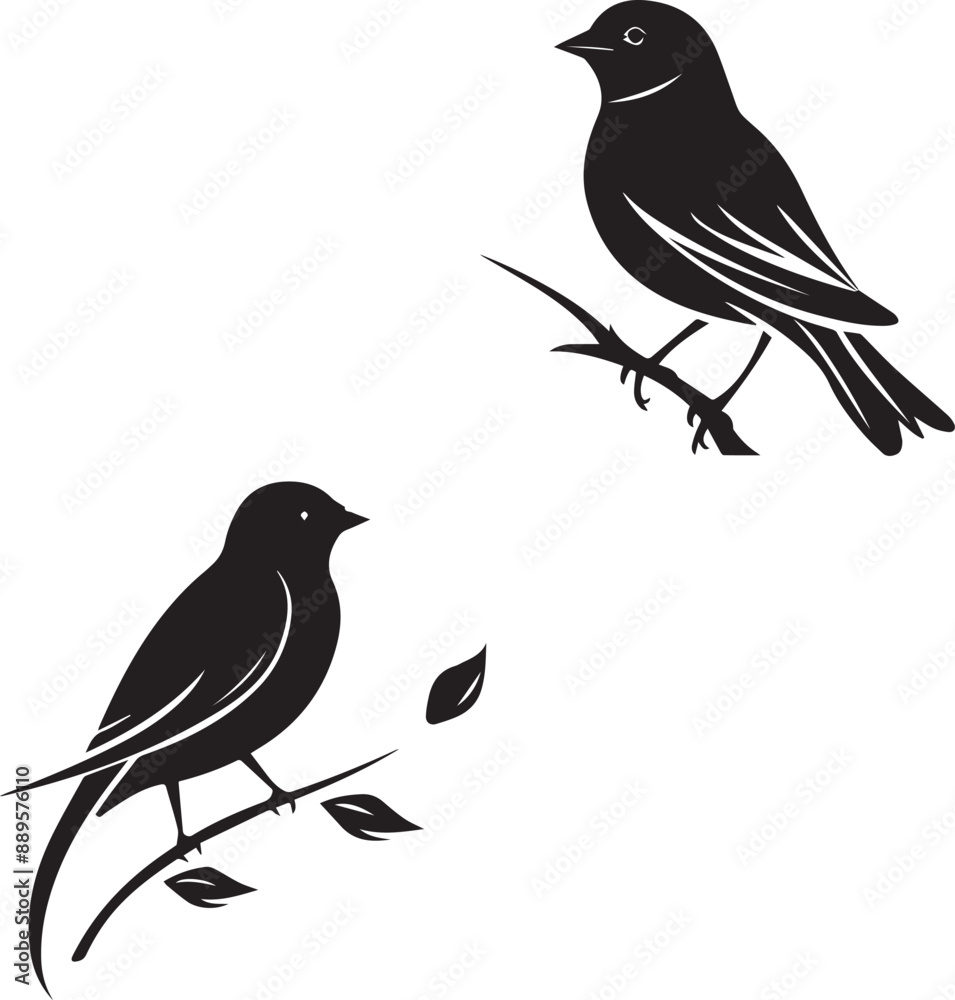 Fototapeta premium Sparrow bird silhouette branch