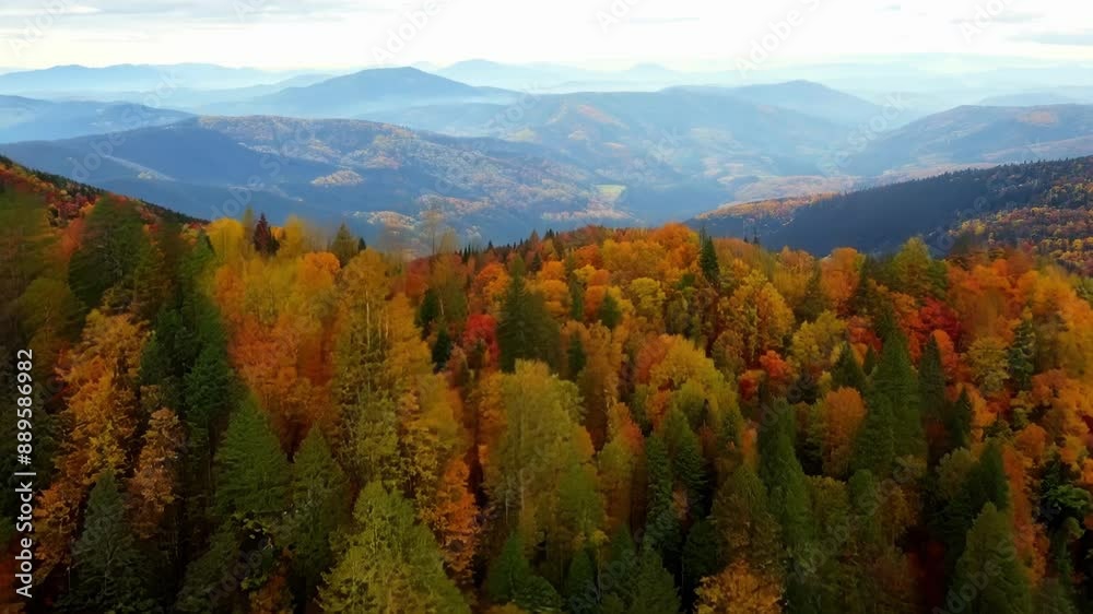 As the drone ascends the mountains transform from a sea of green to a stunning array of autumn colors creating a scenic flight through natures canvas. As the drone ascends the mountains transform from a sea of green to a stunning array of autumn colors creating a scenic flight through natures canvas.
