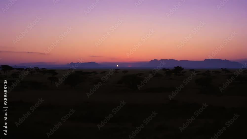 The transition from day to night brings a sense of calm and tranquility to the savannah a peaceful oasis in the African landscape.