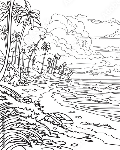 Landscape with sea and palm trees. Coloring book