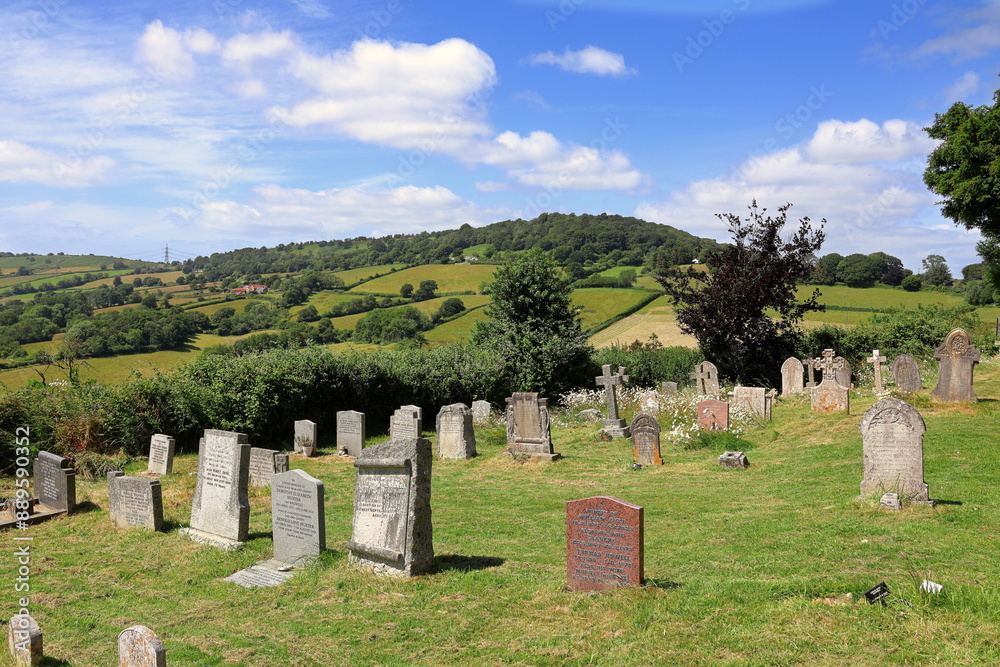 Landscape - Dorset