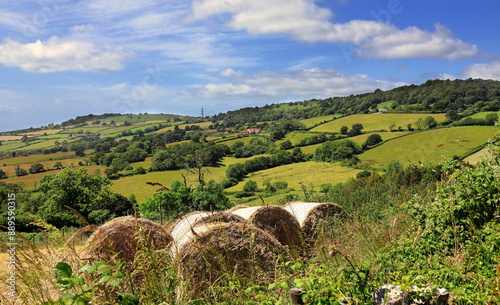 Landscape - Dorset 2