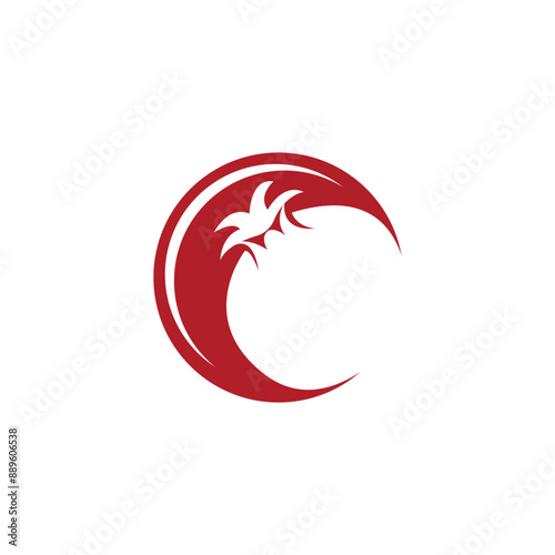 pomegranate flat style vector icon