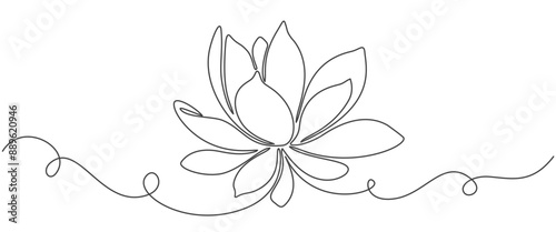 Line art illustration of the lotus flower. linear floral pattern. Vector design of a water lily