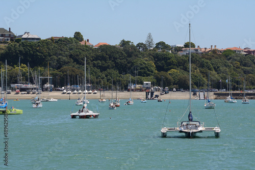Sailboats in the Auckland bay area.