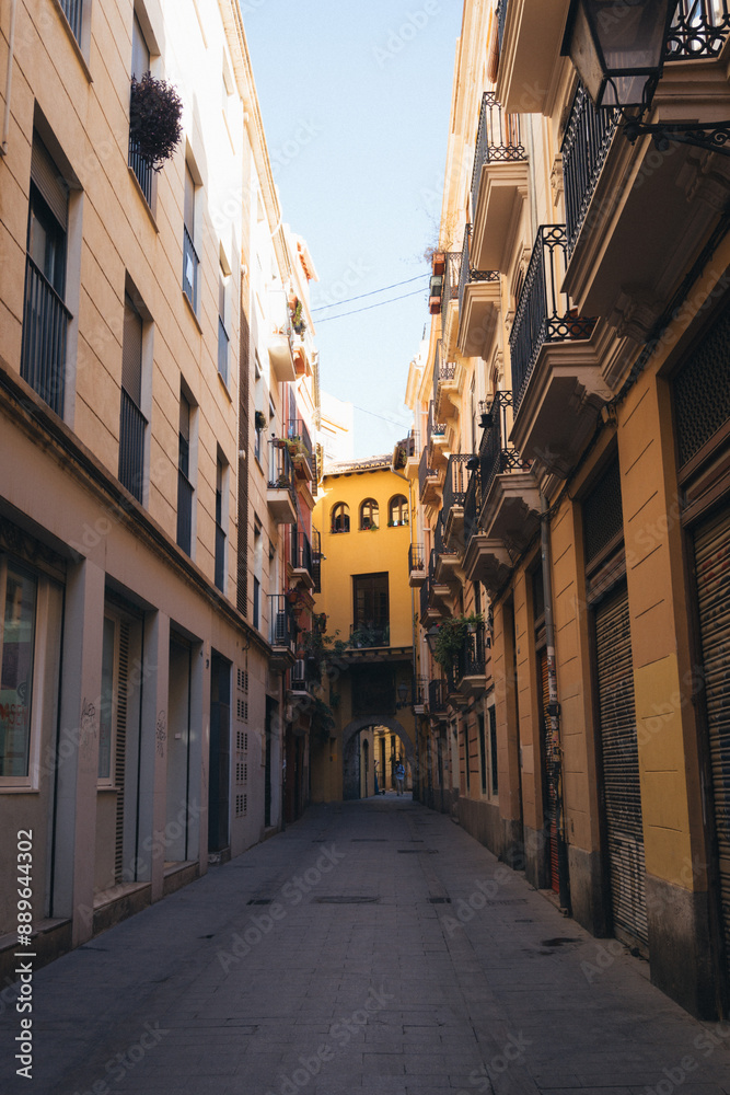 Fototapeta premium Valencia, Spain: A Blend of Historic and Modern Landscapes in Summer