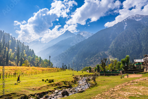 Serene Landscape of Aru valley near Phalgam town in Anantnag district of Jammu and Kashmir, India. It is famous for lush green meadows, snow-capped peaks and scenic trekking trails. photo