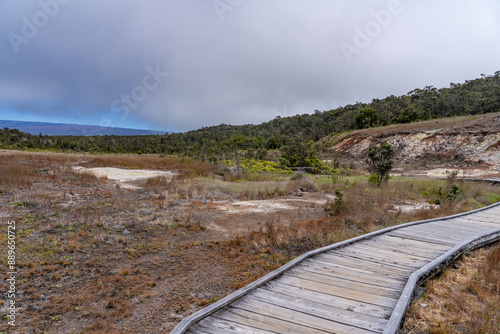 At Ha'akulamanu (Sulphur Banks), volcanic gases seep out of the ground, along with ground water steam.  Hawaii Volcanoes National Park