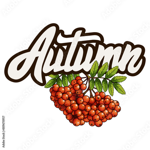 inscription autumn with a bunch of mountain ash