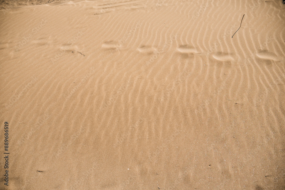 Steps in the sand on the beach. Steps in the sand on the beach.