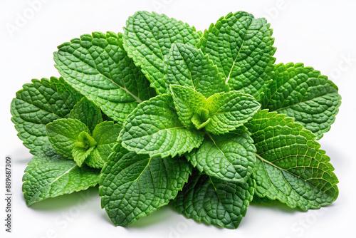 Fresh green mint leaves arranged in a delicate cluster on a clean white background, showcasing their vibrant color and intricate leaf veins in high definition.