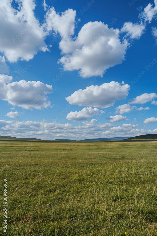 Nature landscape with grass and blue sky with clouds Nature landscape with grass and blue sky with clouds
