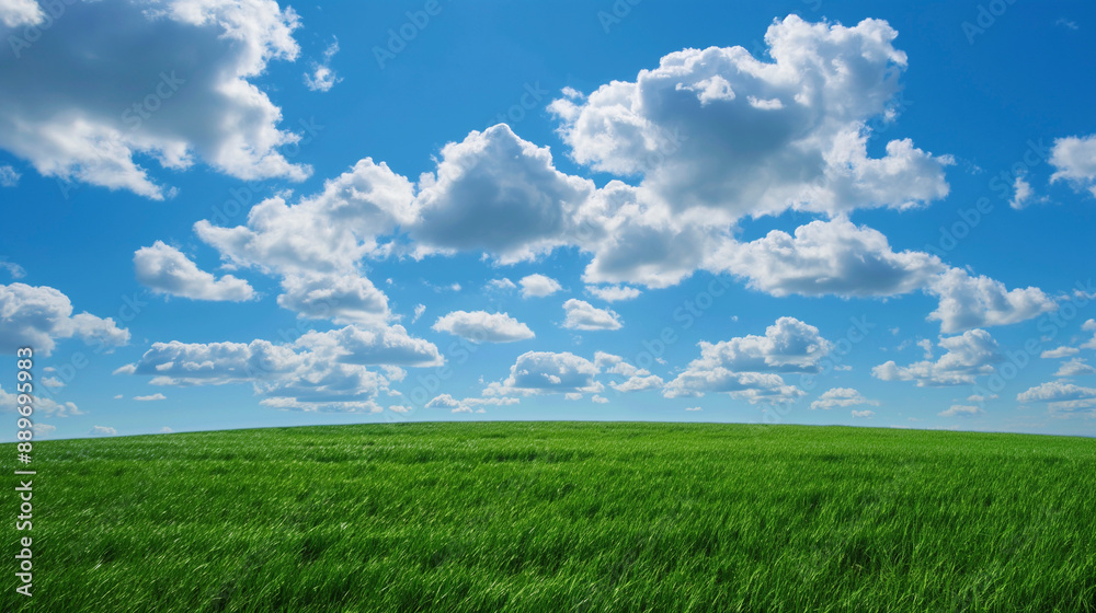 Nature landscape with grass and blue sky with clouds Nature landscape with grass and blue sky with clouds