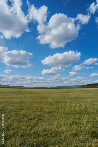 Nature landscape with grass and blue sky with clouds