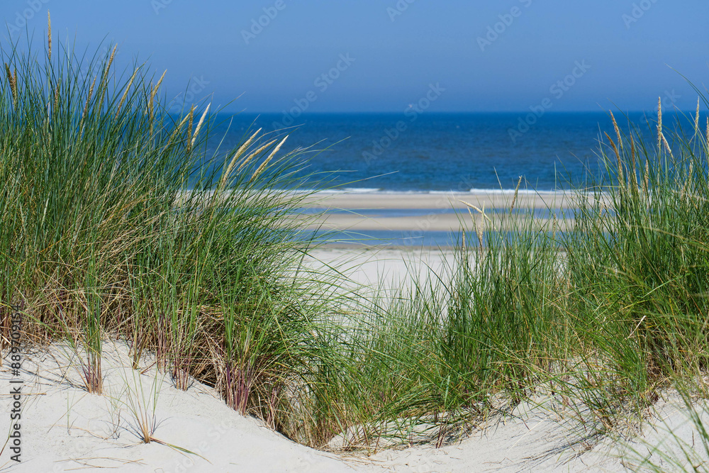Dünenlandschaft vor menschenleerem Strand auf der Insel Langeoog Dünenlandschaft vor menschenleerem Strand auf der Insel Langeoog
