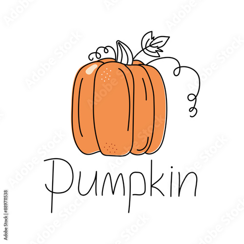 Pumpkin, vegetable. Outline drawing, doodle, color. Harvest, food. Autumn season. Halloween. Vector illustration. White isolated background.