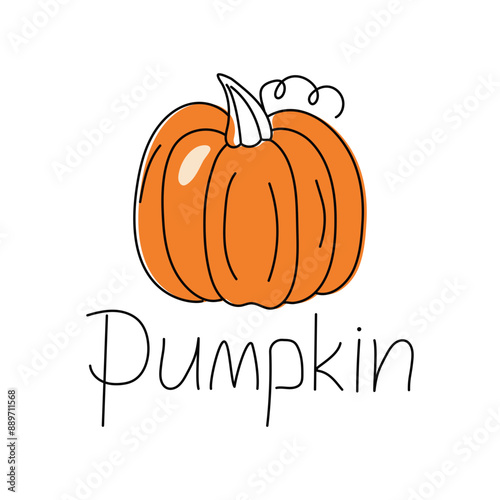 Pumpkin, vegetable. Outline drawing, doodle, color. Harvest, food. Autumn season. Halloween. Vector illustration. White isolated background.
