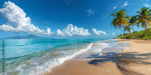 Clear Blue Water and White Sand Beach With Palm Trees on a Sunny Day