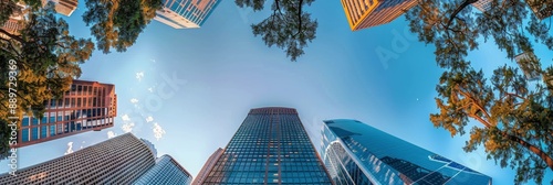 Upward View of Skyscrapers in a City Park