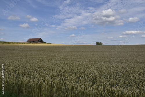 Landschaft und Scheune an der Grenze zwischen NRW und Niedersachsen