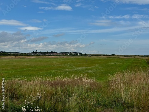 field and blue sky