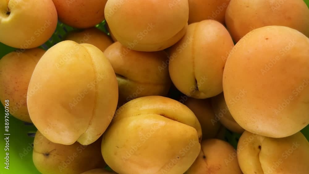 A detailed close-up of fresh apricots, showcasing their vibrant color and smooth texture. Ideal for videos on cooking, baking, and healthy recipes. A detailed close-up of fresh apricots, showcasing their vibrant color and smooth texture. Ideal for videos on cooking, baking, and healthy recipes.