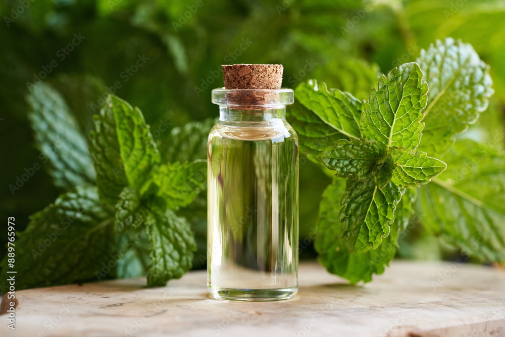 A transparent glass bottle of aromatherapy essential oil with fresh peppermint leaves A transparent glass bottle of aromatherapy essential oil with fresh peppermint leaves