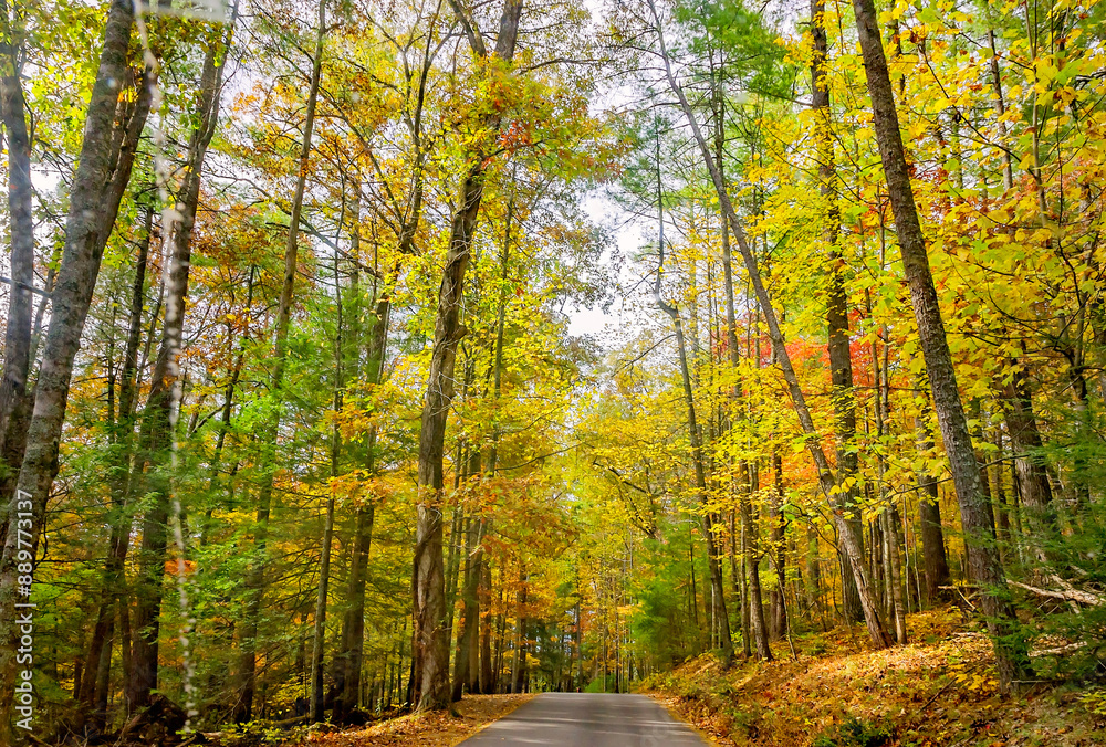Obraz premium Fall foliage in Cades Cove at Great Smoky Mountains National Park in Tennessee