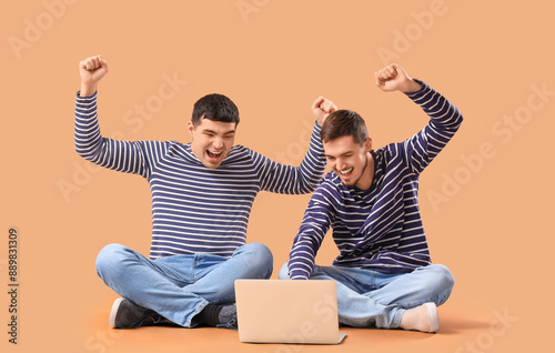 Young brothers with laptop ...