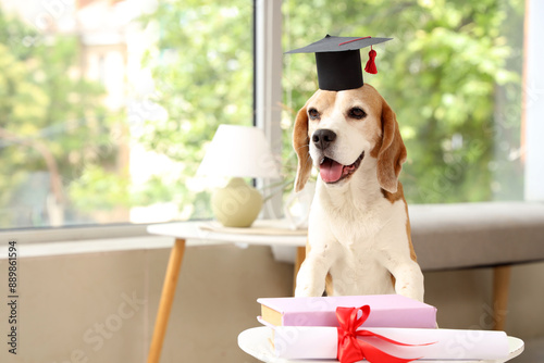 Cute beagle dog in mortar b...