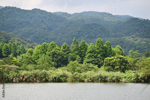 A corner of Shuanglian Pi in Yuanshan Township, Yilan, highlighting its historic natural lake and a 4-hectare floating island. photo